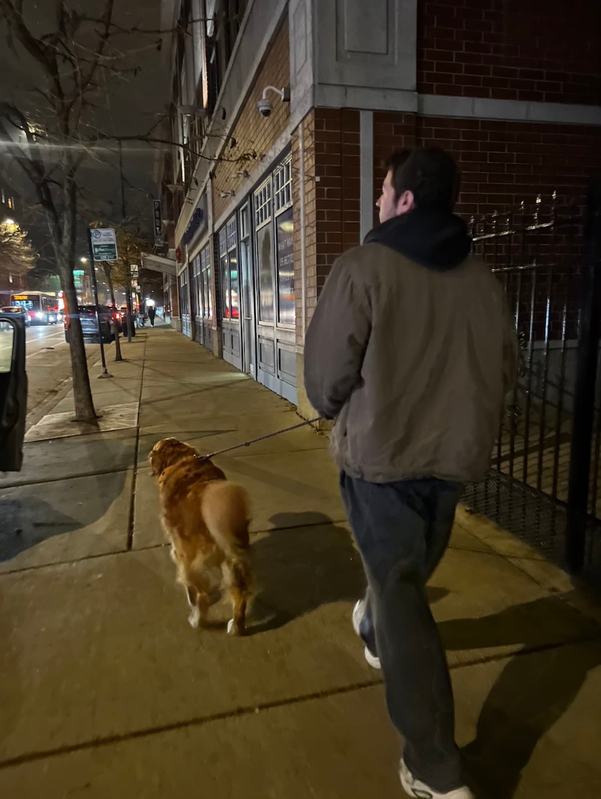 A college student walking a golden retriever down a Chicago sidewalk at night, past a brick storefront on a lit city street