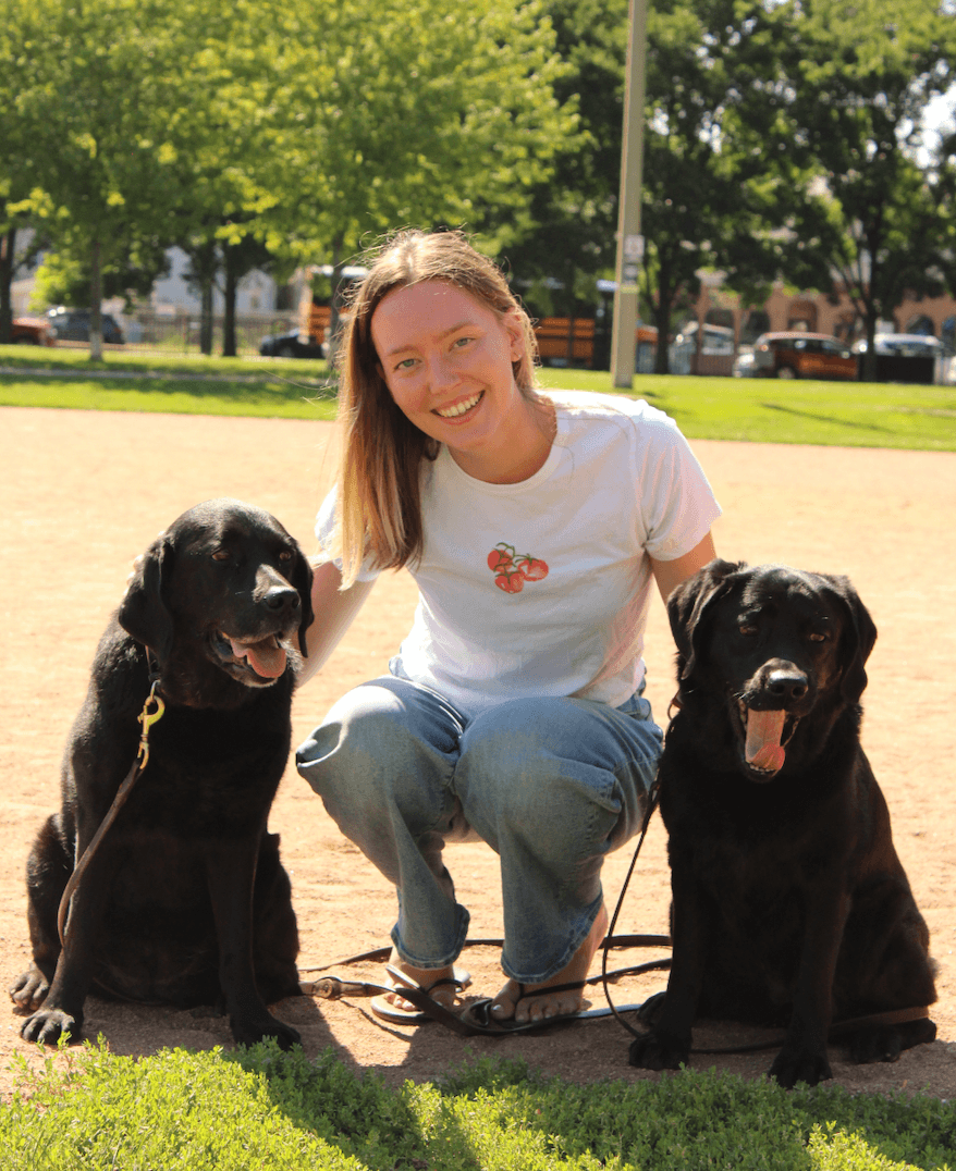 A college student kneeling on a sunny park path between two black Labrador retrievers on leashes